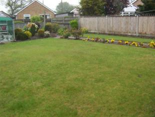 Decent sized garden