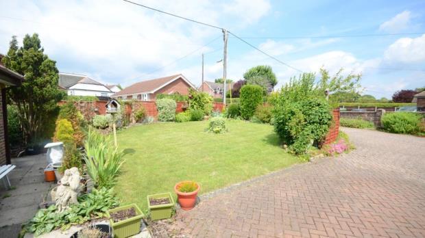 Garden Shot 1