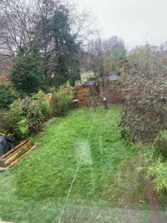 Back garden