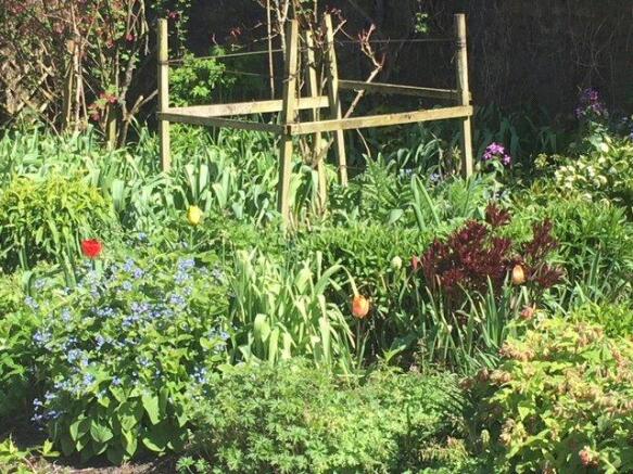 Herbaceous Border