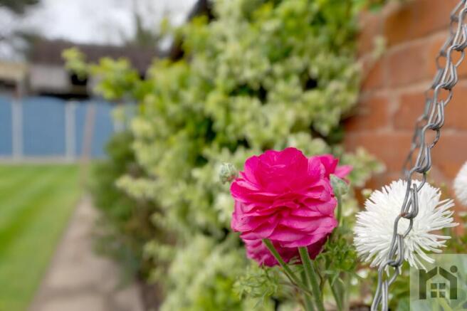 Beautiful borders