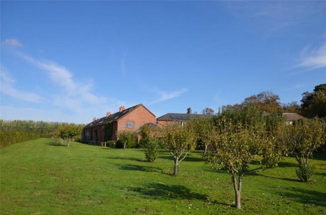 Communal Grounds