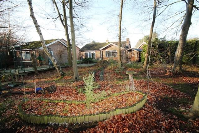 Back of bungalow