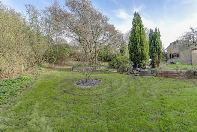 Garden 3.jpg