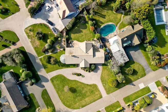 Bird Eye View