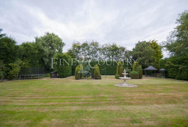Photo 21