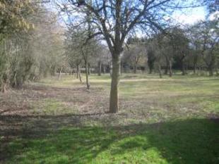 External Photo 2