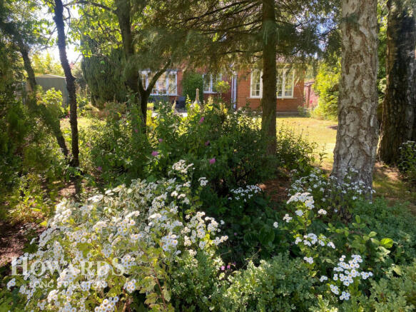 Photo 33