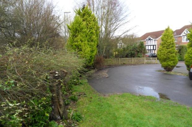 Driveway