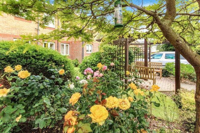 Communal Garden