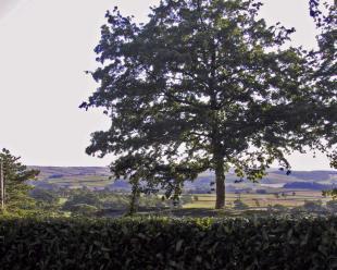 View to Exmoor
