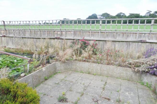 garden 2