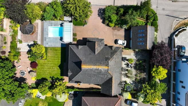 DJI_0981.jpg
