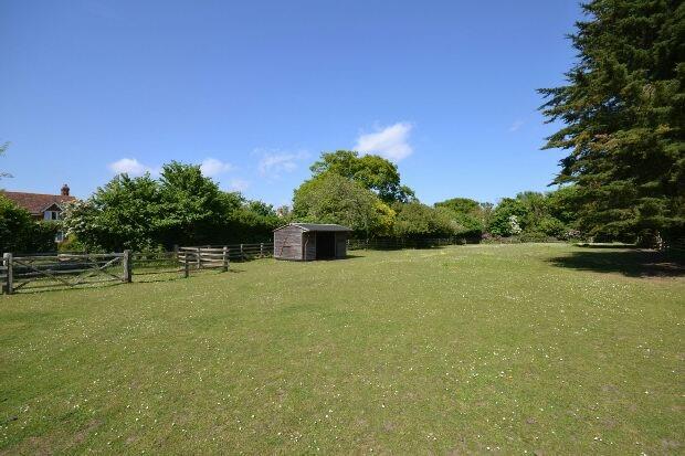 The Turnout Paddocks