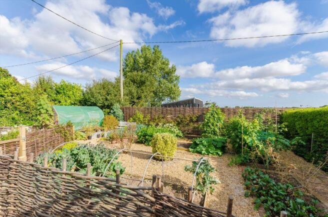 Vegetable garden