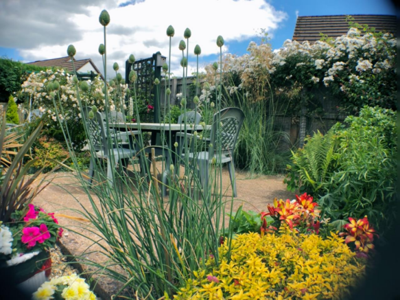 Garden 4.png