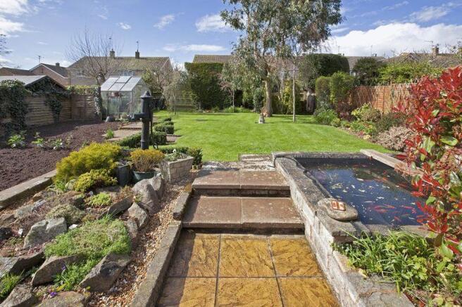 garden (2)