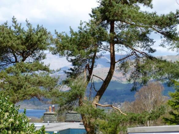 View from Bedroom...