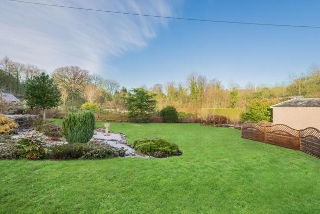 Lush lawn