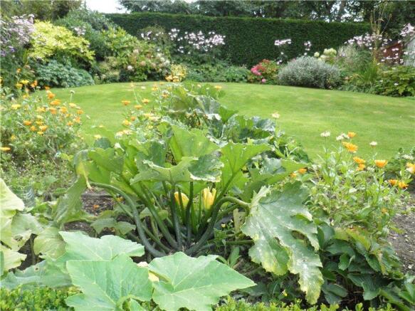 Garden (Summer)