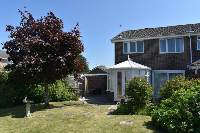 Photo 15