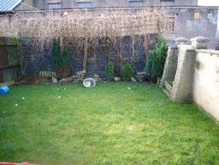 Garden 2