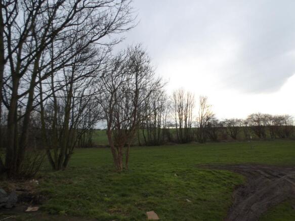 Image 13