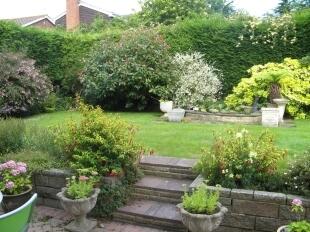 Rear Garden 3