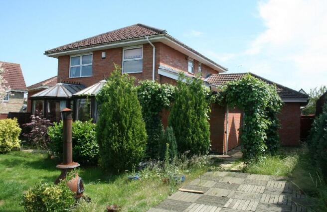 Photo 8