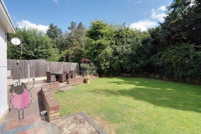 Garden at Back