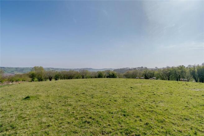 Pasture Land