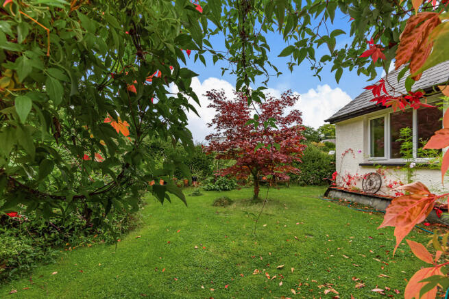 Side Garden