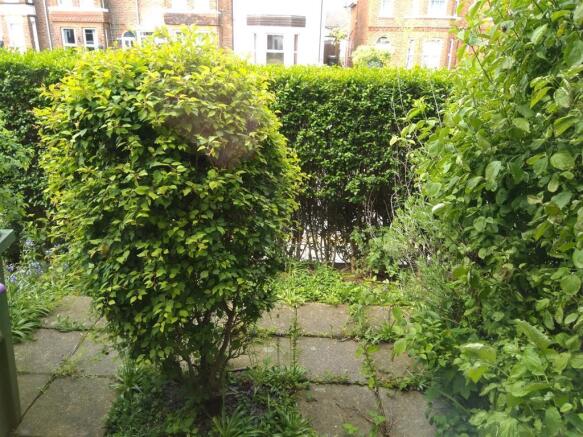 Front Garden