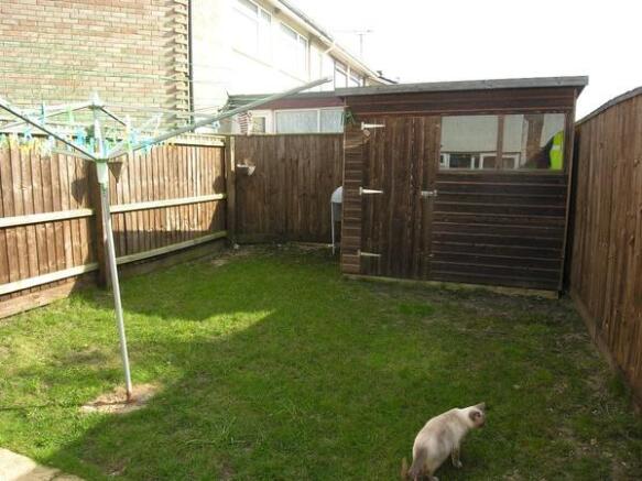 Photo 11