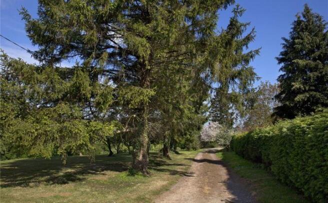 Driveway