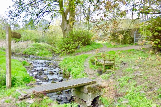 Nearby Brook
