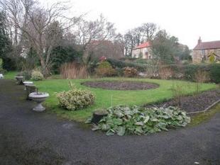 Picture 2