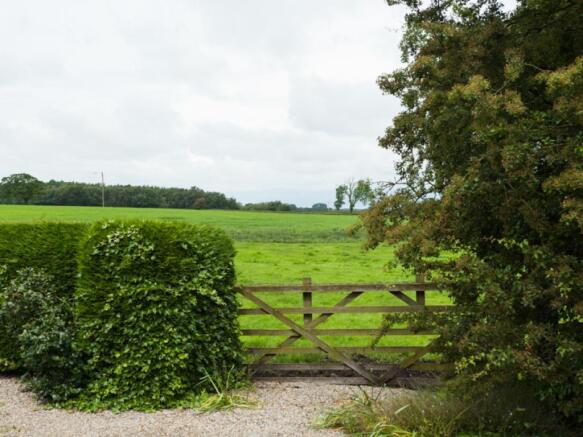 Image 15
