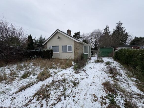 1 Medium T202601080948.jpg