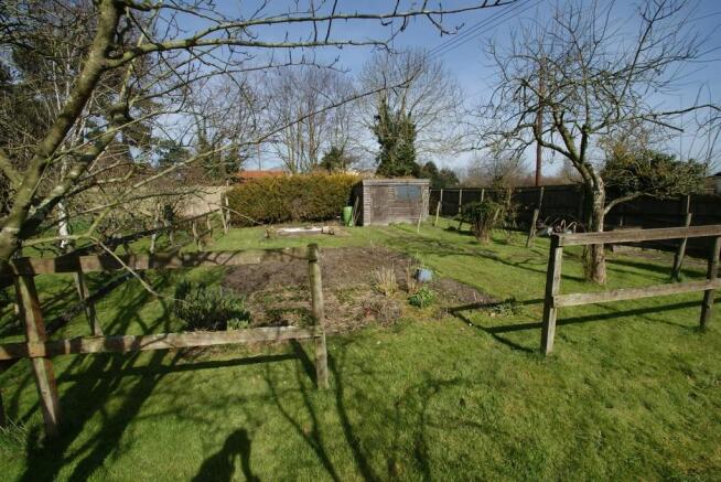 Vegetable Patch