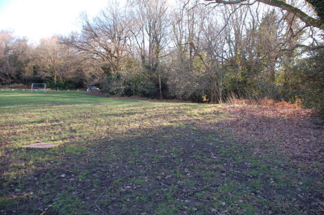 Picture 16