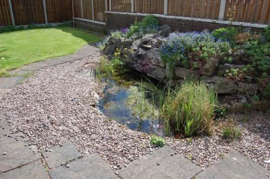 Ornamental Pond