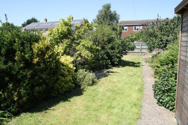 Garden shot 1