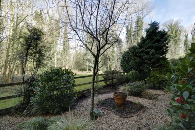 Garden Area
