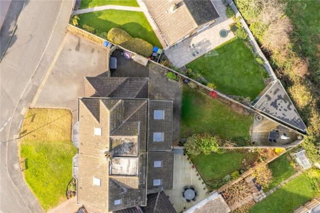 Birds Eye