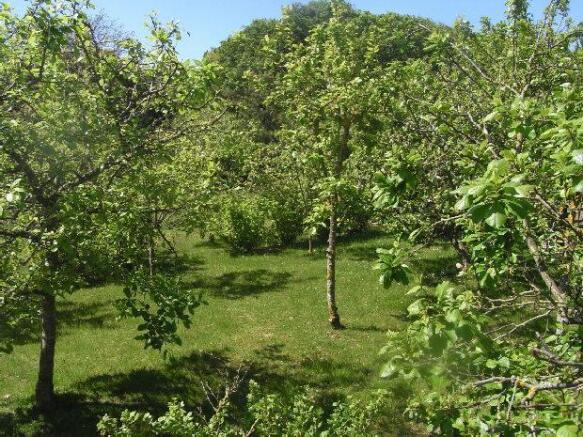 The Orchard