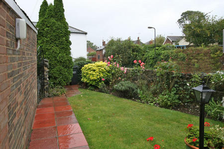 Photo 5