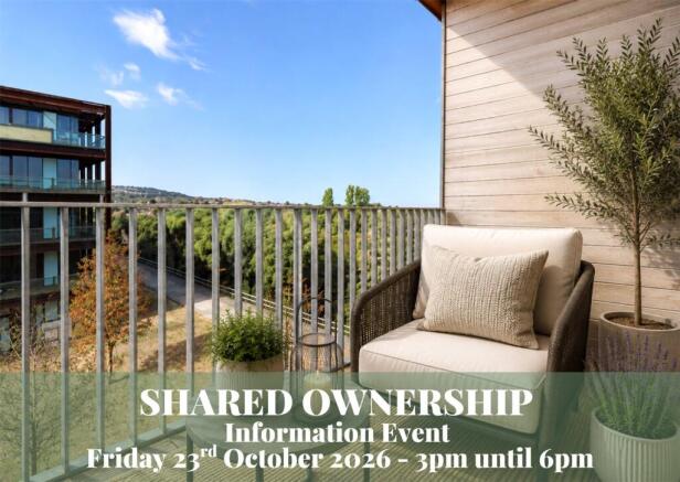 Open Afternoon