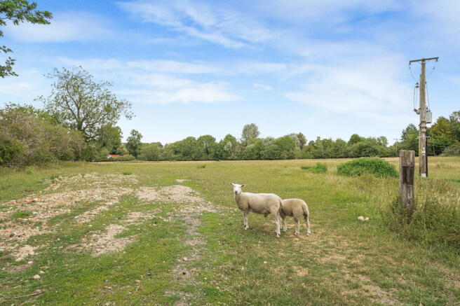 Photo 28