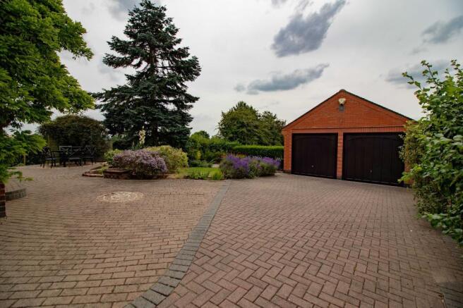 Garden at Back